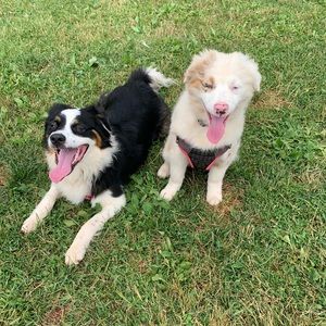 Meet your Posher, Haley